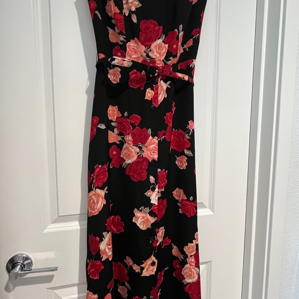 The Limited Sleeveless Black and Red Roses Dress